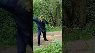 Цзю сюань лун мэнь пай. Лун мэнь цзянь фа. Ши сань цзянь фа.  Хэн се.
