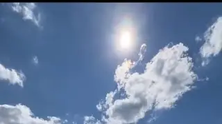 Летняя прогулка