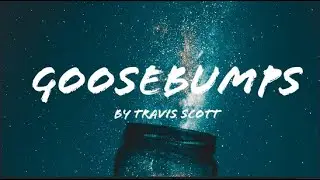 Travis Scott - Goosebumps  (Lyrics) (only Travis Scott)