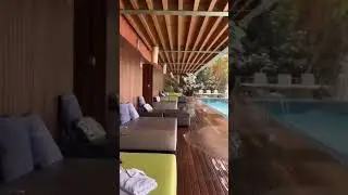 The Whole Pool Is Shaking #shortsfeed #youtubeshorts #trending #viral #shorts