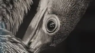 InterFoto 2017