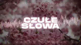 PIĘKNI I MŁODZI Magdalena Narożna - Czułe Słowa (WANCHIZ Remix)