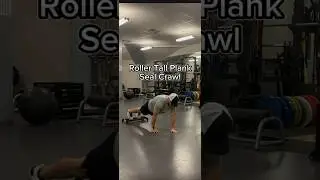 Roller Tall Plank Seal Crawl