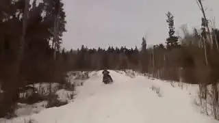 Покатушки встреча с лосем
