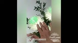 #цветоделы