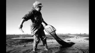 MARISCADORES DA RIA DE AVEIRO