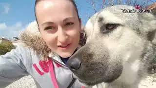 Мои уличные друзья. Прошлая жизнь в Турции. Vlog 11