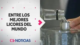 PISCO CHILENO fue destacado entre los 50 mejores licores del mundo: Superó al peruano - CHV Noticias