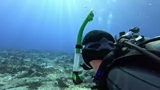 Just underwater - Mainly my Dive Buddy