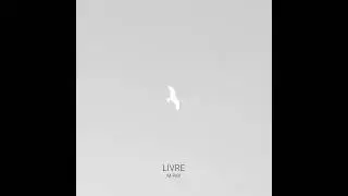 M-PeX - Livre [enrmp534]