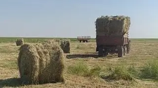 Сенокос 2021