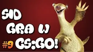 SID GRA W CS:GO! - TROLL #9