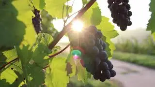 Spanish Guitar   Acoustic Guitar   Guitar Solo   Relaxing Guitar Music   Best Classical Guitar Music