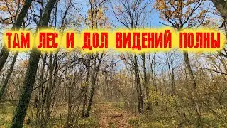 ТАМ ЛЕС И ДОЛ ВИДЕНИЙ ПОЛНЫ