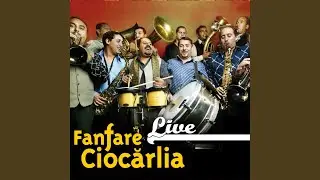 Tziganeasca (Live)