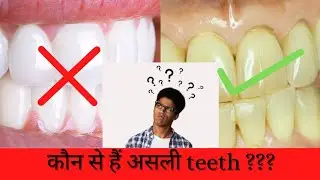 #shorts || कौन से हैं असली Teeth || scientifficc facts
