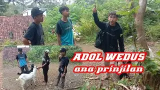 ADOL WEDUSS||| filem pendek #nggabress
