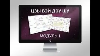 Цзы Вэй Доу Шу. Отношения в Карте Рождения