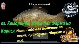Русская Рыбалка 4. оз. Комариное. Точка для ловли Карася. Мини Гайд