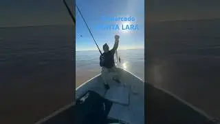Embarcado Punta Lara