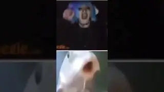 Memes I ran out of title ideas for