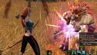 World Of Warcraft Quest Info: Don't Stop Bereavin