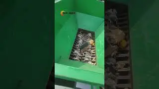 Dual Shaft Shredding Machine 
