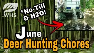June Deer Hunting Chores
