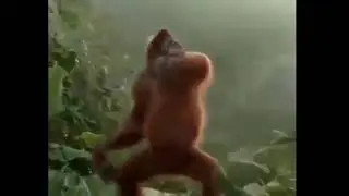 I FEEL GOOD|MEME| NO COPYRIGHT