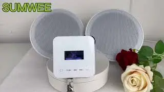 Amplificador De Parede 50w Bluetooth Som Ambiente Fm Barato