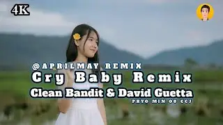 [4K] Cry Baby (Bass Remix) SlowRemix VIRAL TIKTOK NEW REMIX 2025