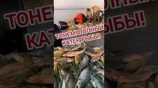 ПОЛНЫЙ КАТЕР РЫБЫ! ПРОМЫСЛОВАЯ РЫБАЛКА.