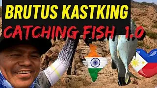 kastking KastKing Catching fish 1.0