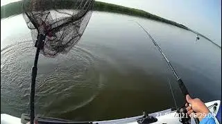 Позитивный сход щуки 😄