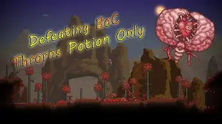 Defeating a Terraria Boss With Thorns Potions Only?