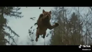 Цитаты волков из тик тока.Мем про волков .Мем2020