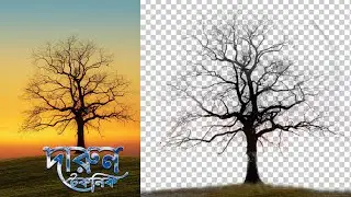 How to Cut Out Tree || Remove Background in Photoshop