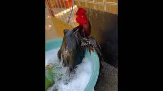 Это пять!!! Без слов..