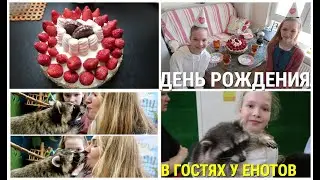 ДЕНЬ РОЖДЕНИЯ/ В ГОСТЯХ У ЕНОТОВ/ ПРИГОТОВИЛА ТОРТ