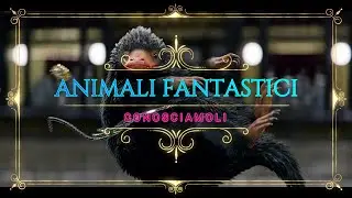 ANIMALI FANTASTICI E DOVE TROVARLI - Conosciamo tutti gli animali del primo film della SAGA