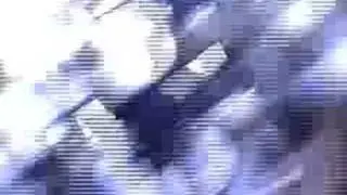 The whole tazer incident