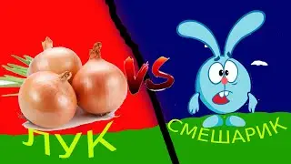 СМЕШАРИК ПРОТИВ ЛУКОВИЦА