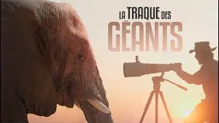 On a TRAQUÉ les ÉLÉPHANTS du DÉSERT en Namibie
