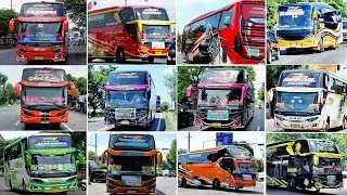 KUMPULAN TELOLET BASURI V1 V2 V3| BUS ARTIS INDONESIA