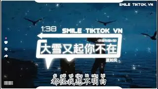 夏如风 - 大雪又起你不在 (抖音热播DJ版) Đại Tuyết Rơi Em Không Còn Nơi Đây 『大雪又起 你不在，可我想要你的爱，头也不回的离开』抖音火流行歌曲推荐TikTok