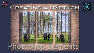 Triptych in Photoshop Elements