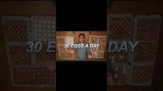 I ate 30 eggs a day for 30 days