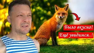 Ночных гостей никто не любит...