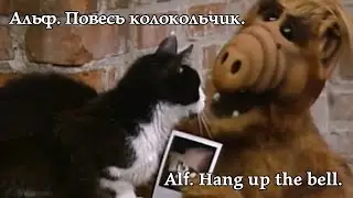 Alf. Hang up the bell. Альф. Повесь колокольчик. 