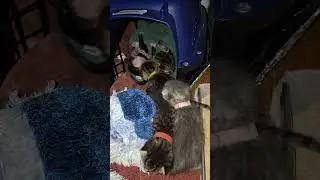 bedtime parry time